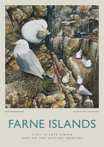 Farne Islands
